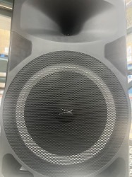 Blue tooth speaker with wireless mic